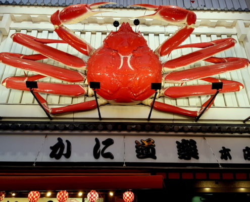 Osaka . mercato del pesce di Kuromon