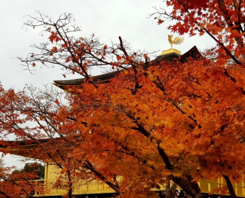 Kinkaku-Ji Kyoto